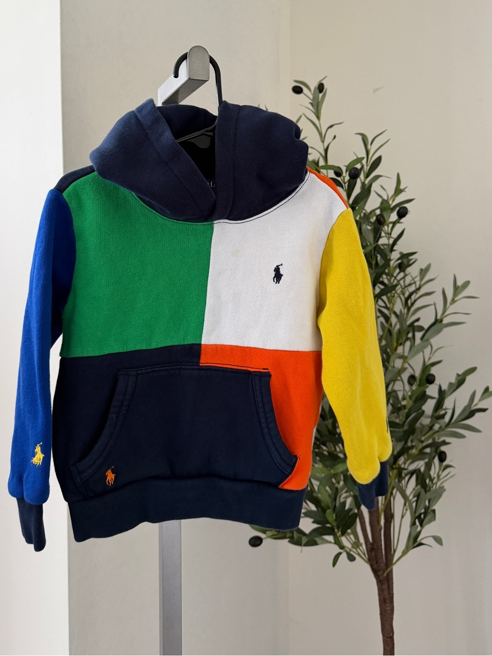 Polo by Ralph Lauren Kids Multicolor Colorblock Hooded Sweatshirt